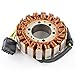 RaceTech Electric Replacement for Generator Stator Honda CBR 600 F4 F4i CBR600F4 2001-2006 | OEM Repl.# 31120-MBW-J21
