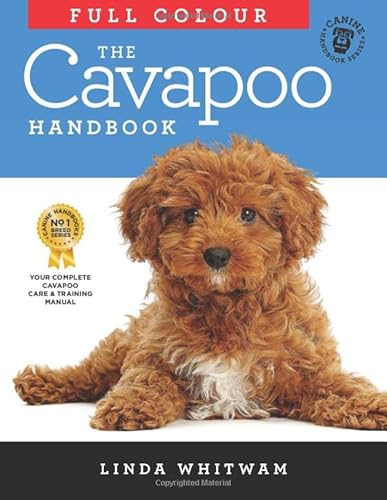 The Full Colour Cavapoo Handbook (Canine Handbooks in Colour) in Oman ...