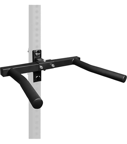 Dip Bar Cap Squat Rack Accessories Cap Barbell Power Racks And