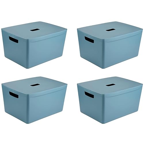 INABOX Storage Box Bonus Pack 4 X 28L Cactus Blue With Lid, 28L Stackable Plastic Storage Box with Lid, BPA Free, Bedroom, Laundry, Home & Office, W 33.5cm x L 43.5cm H 24cm