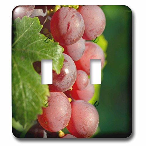 3dRose Danita Delimont - Vineyards - France, Alsace, Eguisheim. A bunch of Gewurztraminer grapes. - Light Switch Covers - double toggle switch (lsp_277390_2)