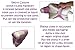 Purple Bunny Zoopurr Pets 19