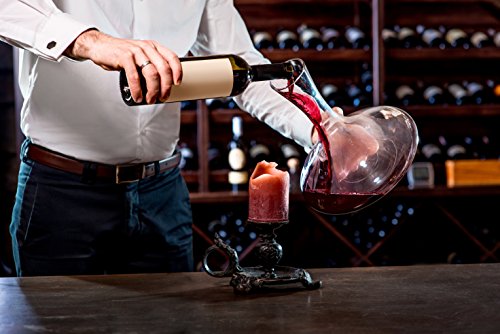 5 Wine+Decanter+Aerator+Set+Accessories