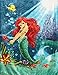 Disney Princess Ariel Life Under The Sea The Little Mermaid 60x80 Twin Mink Style Blanket