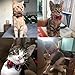 Cute Bowtie Cat Collar Breakaway with Bell 2 Pack Plaid Collar Set for Kitty Puppy Adjustable 7.8-10.2