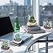 Supla 4 Set Artificial Fake Succulent Plants Echeveria Terrarium Glass Containers Decorations Clear (4 Artificial Succulents+1.1 Lb White Sand+1.32 Lb Stone + 4 Glass Containers +1 Floral Wire Cutter)