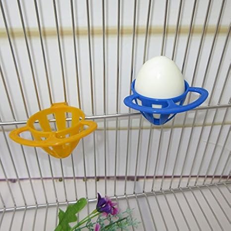 Amazon Com Onpiece Bird Feeder Cage Bird Parrot Egg Feeder No