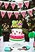 Watermelon 1st Birthday Decorations - One in a Melon Cake Topper Watermelon Happy Birthday Banner