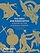 The Greek and Roman Myths: A Guide to the Classical Stories by Philip Matyszak