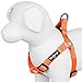Blueberry Pet 7 Colors Step-in Classic Dog Harness, Chest Girth 19.5