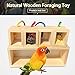 Hamiledyi Bird Foraging Toy Wooden Parrot Training Feeder Toys Creative Colors Identify Food Box Intelligence Toys for Medium and Large Parrots Sun Conures, Caique, Cockatoothumb 2
