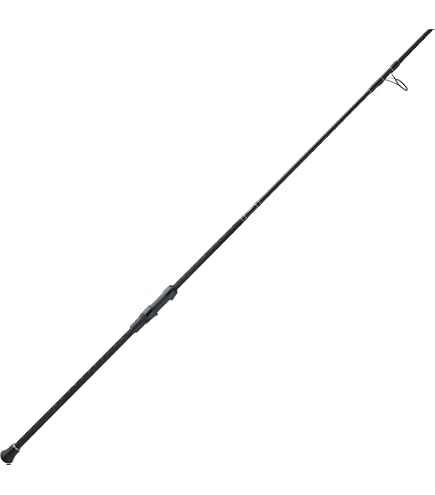 Daiwa (DAIWA) Spinning rods Prime surf T27-425 · W Fishing Rod