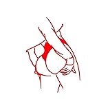 Sexy Girl Body Cute Buttocks Sticker Fat Ass Vinyl