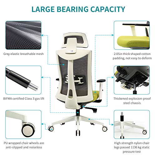 SIHOO Ergonomic Office Chair with Adjustable Lumbar Support and