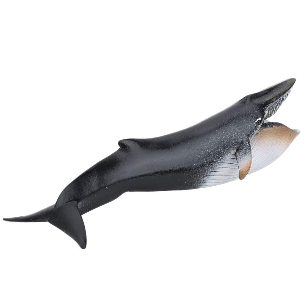 Zerodis Whale model toy Marine animal Figurine in high simulation Desktop Ornaments Home decoration birthday christmas educational gift for children(23 x 6cm)