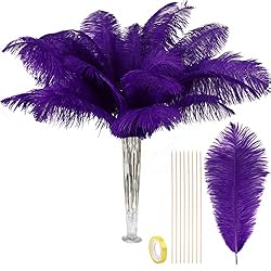 VIJIV Natural Purple Large Ostrich Feathers Bulk 10