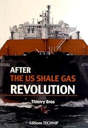After the US shale gas revolution
