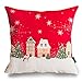 Phantoscope New Merry and Presents Series Throw Pillow Cushion Cover (County)