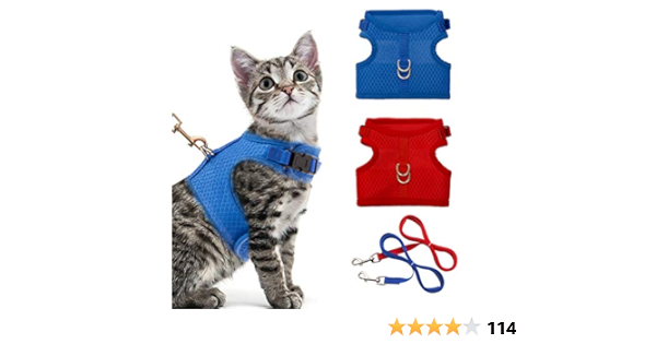 cat harness animates
