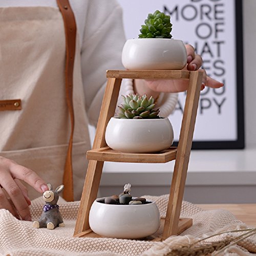 Youfui White Ceramic Succulent Plant Pot, Planter for Succulent Plants, Small Cactus and Herbs with Bamboo Tray (Round White with Stand)