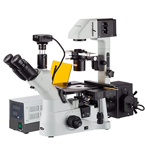 AmScope IN480TC-FL-5MG3 Inverted Microscope