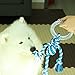 Dog Cotton Rope Toys, Bondpaw Dog Interactive Chew Toys with TPR Round Ring for Dog Chewing and Training Handle