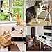 Interactive Cat Toy Teaser Wands with Suction Cup and Bell 4 Pcs Cat Feather, Mouse Toys