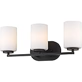Golden Lighting Manhattan 3 Light Bath Vanity in Matte Black