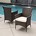 Christopher Knight Home 295968 Clementine Outdoor Multibrown PE Wicker Dining Chairs
