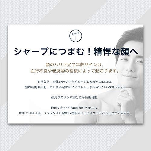 Amazon Co Jp メンズ 美顔ローラー エミリーストーン フェイス For Men マイクロカレント 小顔 美顔器 フェイス 用 シルバー ビューティー