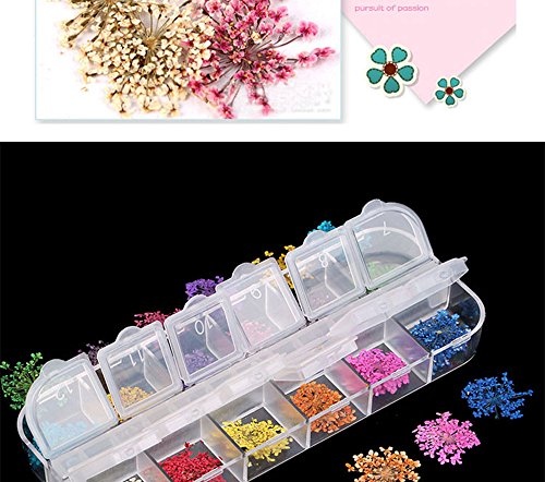 image for MEILINDS Natural Real Dried Flower Case Nail Art Tips Sticker Decals D