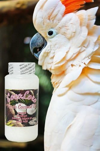 Avitech Coco Loro 100% Organic Virgin Coconut Oil 4 Oz