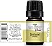 Plant Therapy Jasmine Absolute Essential Oil 100% Pure, Undiluted, Natural Aromatherapy, Therapeutic Grade 5 mL (1/6 oz)