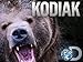 Kodiak Season 1
