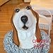 CreepyParty Deluxe Novelty Halloween Latex Animal Dog Head Mask (Basset Hound)