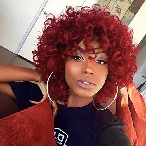 Buy Hidola Short Burgundy Red Curly Hair Wig With Bangs 14inch