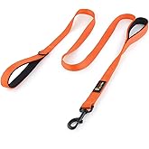 Plutus Pet Dog Leash 6ft Long,Traffic Padded Two Handle,Heavy Duty,Reflective Double Handles Lead for Control Safety Training,Leashes for Large Dogs or Medium Dogs,Dual Handles Leads(Orange)