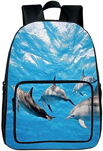 Polychromatic Optional Square Front Bag Backpack,Dolphin,Underwater Photography of Dolphins Happily Swimming Ocean Animal Life Image Print Decorative,Blue Grey,for Children,Comfortable Design.15.7"x 1