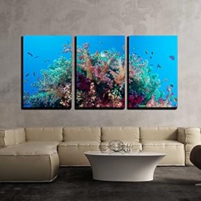 Colorful Underwater Offshore Rocky Reef with Coral and...