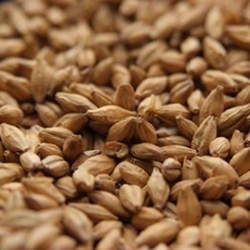 Muntons Lager Malt 1 lb