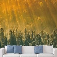 Wall Mural Beautiful Forest Removable Self-Adhesive Wallpaper Wall Decoration for Bedroom Living Room - 66x96 inches