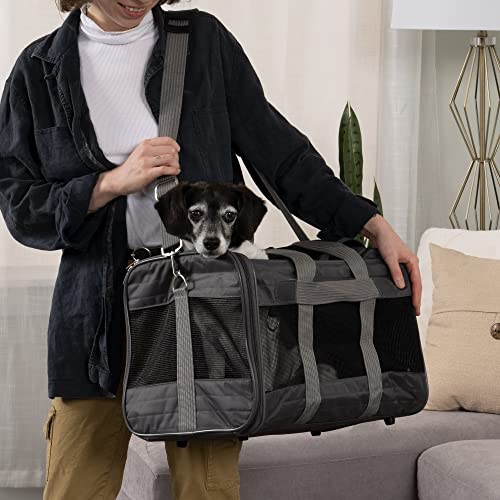 Sherpa Original Deluxe Travel Pet Carrier, Airline Approved Charcoal