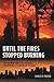 Until the Fires Stopped Burning: 9/11 and New York City in the Words and Experiences of Survivors and Witnesses