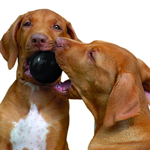 KONG - Extreme Ball - Durable Rubber Dog Toy for Power Chewers, Black - For Medium/Large Dogs - //medicalbooks.filipinodoctors.org