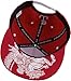 Epic Polish Eagle Snapback | Kotwica Hat Poland Pride Polska Unisex Baseball Cap