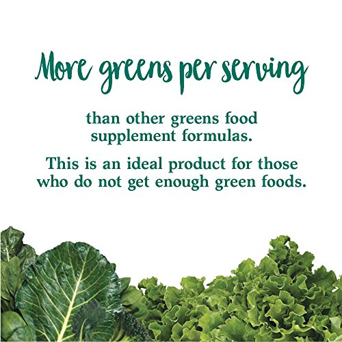 image for Garden of Life Whole Food Vegetable Supplement - Perfect Food Green Su