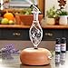 ArOmis Premium Glass Essential Oils Nebulizer - Waterless Diffuser for Aromatherapy - Handmade Oil Diffuser, Wooden Base, No Plastic, No Heat, No Battery, No LEDs - Orbis Lux Vitis