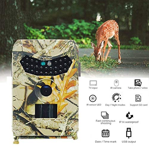 Booding Wildkamera Fotofalle 1080P Full HD 12MP mit Bewegungsmelder Nachtsicht Beutekameras mit Infrarot Leichtes Glühen… – Bild 3