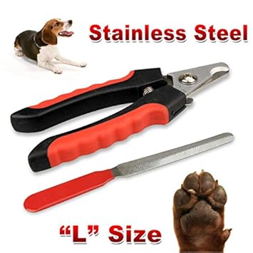 Pupkart Professional Stainless Steel Nail Cutter [Best for Small, Medium Dogs & Cats]