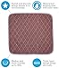 Ultra Waterproof Washable Seat Pad (20 x 22 Inch) for Incontinence - Seniors, Adult, Children, or Pet Underpad - Triple Layer Chair Cover Protector, 24 Ounce Absorbency (Brown) by BrightCare